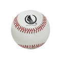 Pelota Para Entrenamiento o Arrastre America Piel